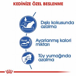 Royal Canin Indoor 27 Evde Yaşayan Yetişkin Kedi Maması 2 Kg - Thumbnail