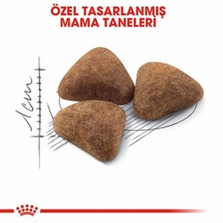 Royal Canin Indoor 27 Evde Yaşayan Yetişkin Kedi Maması 2 Kg - Thumbnail