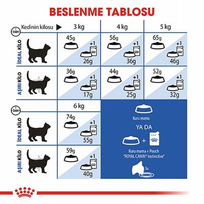 Royal Canin Indoor 27 Evde Yaşayan Yetişkin Kedi Maması 2 Kg 