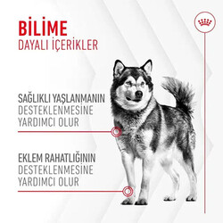 Royal Canin Joint Ageing Chews Eklem Sağlığını Destekleyen ve Yaşlanma Karşıtı Yetişkin Köpek Ödül Maması 240 Gr - Thumbnail