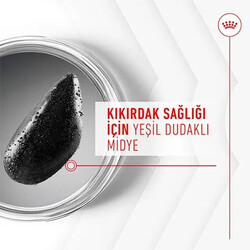 Royal Canin Joint Ageing Chews Eklem Sağlığını Destekleyen ve Yaşlanma Karşıtı Yetişkin Köpek Ödül Maması 240 Gr - Thumbnail