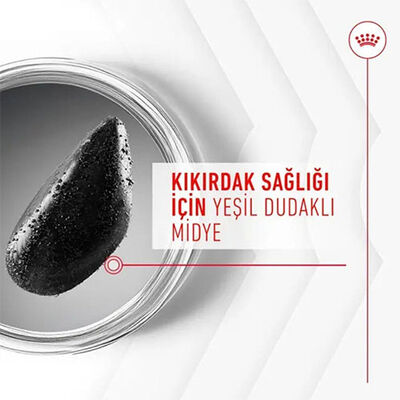 Royal Canin Joint Ageing Chews Eklem Sağlığını Destekleyen ve Yaşlanma Karşıtı Yetişkin Köpek Ödül Maması 240 Gr 