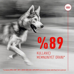 Royal Canin Joint Ageing Chews Eklem Sağlığını Destekleyen ve Yaşlanma Karşıtı Yetişkin Köpek Ödül Maması 240 Gr - Thumbnail