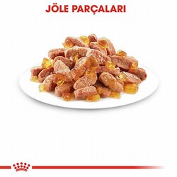 Royal Canin Pouch Kitten Jelly Yavru Kedi Konservesi 85 Gr - Thumbnail