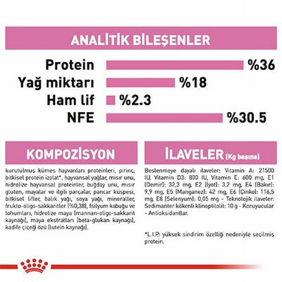 Royal Canin Kitten Yavru Kedi Maması 10 Kg 