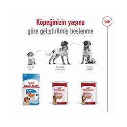 Royal Canin Loaf Mousse Orta Irk Ezme Yetişkin Köpek Konservesi 12 Adet 410 Gr - Thumbnail