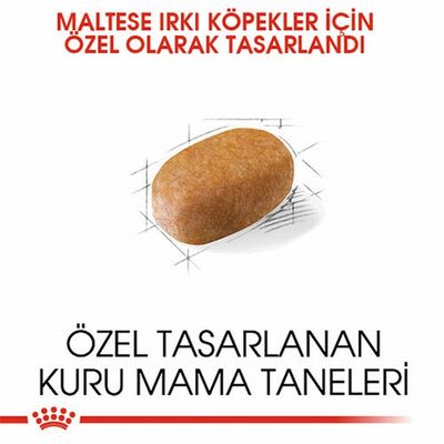 Royal Canin Maltese Terrier Adult Yetişkin Köpek Maması 1,5 Kg 