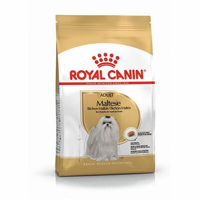 Royal Canin Maltese Terrier Adult Yetişkin Köpek Maması 1,5 Kg 