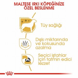 Royal Canin Maltese Terrier Adult Yetişkin Köpek Maması 1,5 Kg - Thumbnail