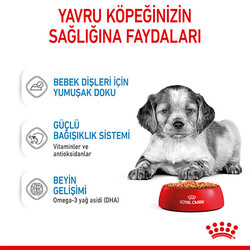 Royal Canin Medium Puppy Gravy Yavru Köpek Konservesi 10 Adet 140 Gr - Thumbnail