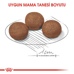 Royal Canin Medium Puppy Orta Irk Yavru Köpek Maması 15 Kg - Thumbnail