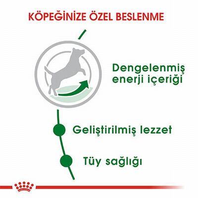 Royal Canin Mini Adult Küçük Irk Yetişkin Köpek Maması 8 Kg 