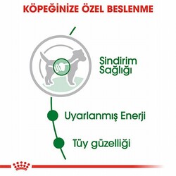 Royal Canin Mini Adult Pouch Yetişkin Köpek Konservesi 85 Gr - Thumbnail