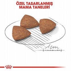 Royal Canin Mini İndoor Adult Küçük Irk Yetişkin Köpek Maması 1,5 Kg - Thumbnail