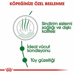 Royal Canin Mini İndoor Adult Küçük Irk Yetişkin Köpek Maması 1,5 Kg - Thumbnail