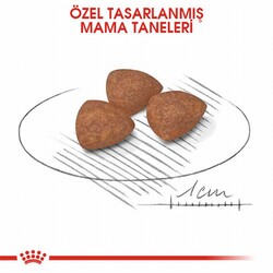 Royal Canin Mini Puppy Küçük Irk Yavru Köpek Maması 2 Kg+2 Adet Pouch Hediye - Thumbnail