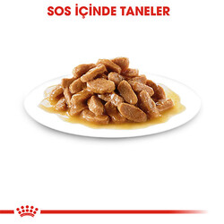 Royal Canin Mini Puppy Pouch Yavru Köpek Konservesi 6 Adet 85 Gr - Thumbnail