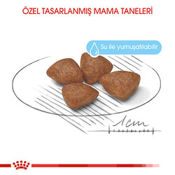 Royal Canin Mini Starter Mother & Babydog Küçük Irk Yavru Köpek Maması 4 Kg - Thumbnail