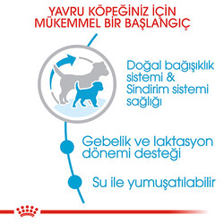 Royal Canin Mini Starter Mother & Babydog Küçük Irk Yavru Köpek Maması 4 Kg - Thumbnail