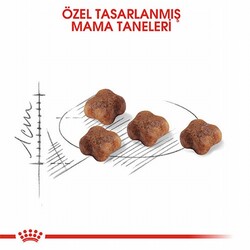 Royal Canin Mother & Babycat Yavru Kedi Maması 4 Kg - Thumbnail