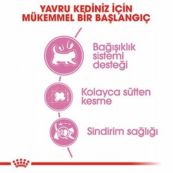 Royal Canin Mother & Babycat Yavru Kedi Maması 4 Kg - Thumbnail