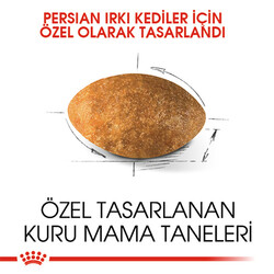 Royal Canin Persian Adult İran Yetişkin Kedi Maması 10 Kg - Thumbnail