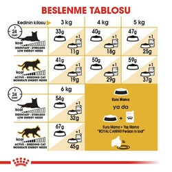 Royal Canin Persian Adult İran Yetişkin Kedi Maması 10 Kg - Thumbnail