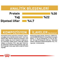 Royal Canin Persian Adult İran Yetişkin Kedi Maması 10 Kg - Thumbnail