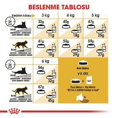 Royal Canin Persian Adult İran Yetişkin Kedi Maması 10 Kg 