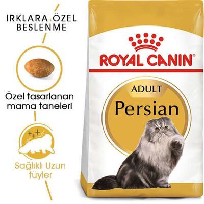 Royal Canin Persian Adult İran Yetişkin Kedi Maması 2 Kg 
