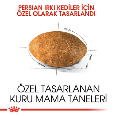 Royal Canin Persian Adult İran Yetişkin Kedi Maması 2 Kg 