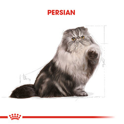 Royal Canin Persian Adult İran Yetişkin Kedi Maması 4 Kg - Thumbnail