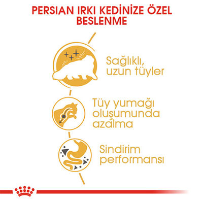 Royal Canin Persian Adult İran Yetişkin Kedi Maması 4 Kg 