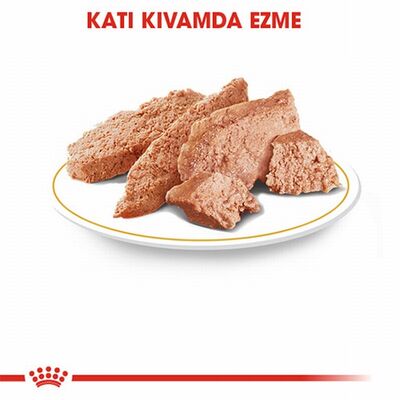 Royal Canin Persian Adult Pouch Yetişkin Kedi Konservesi 12 Adet 85 Gr 
