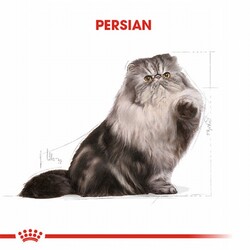 Royal Canin Persian Adult Pouch Yetişkin Kedi Konservesi 6 Adet 85 Gr - Thumbnail