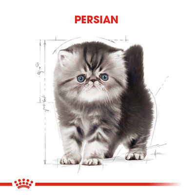Royal Canin Persian Kitten İran Yavru Kedi Maması 2 Kg 