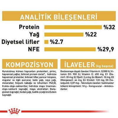 Royal Canin Persian Kitten İran Yavru Kedi Maması 2 Kg 