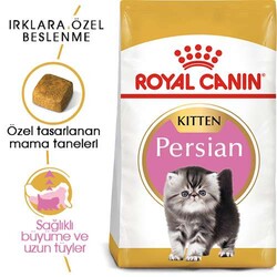 Royal Canin Persian Kitten İran Yavru Kedi Maması 2 Kg - Thumbnail