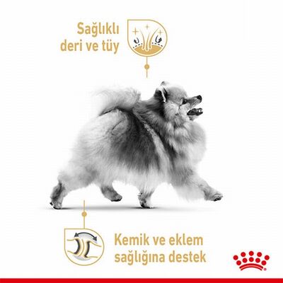 Royal Canin Pomeranian Adult Yetişkin Köpek Maması 1,5 Kg 