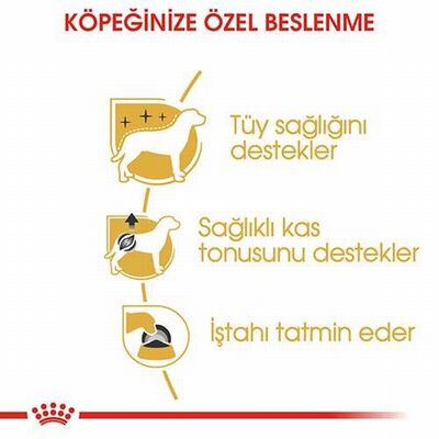 Royal Canin Poodle Pouch Adult Yetişkin Köpek Konservesi 85 Gr 