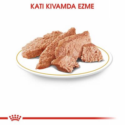 Royal Canin Poodle Pouch Adult Yetişkin Köpek Konservesi 85 Gr 
