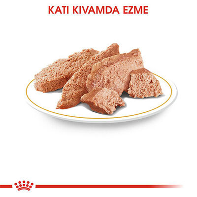 Royal Canin Pouch Chihuahua Adult Yetişkin Köpek Konservesi 12 Adet 85 Gr 