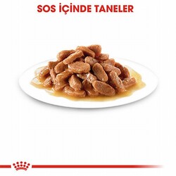 Royal Canin Pouch Kitten Gravy Yavru Kedi Konservesi 12 Adet 85 Gr - Thumbnail