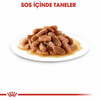 Royal Canin Pouch Kitten Gravy Yavru Kedi Konservesi 12 Adet 85 Gr 