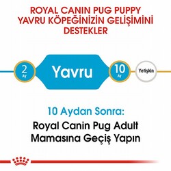 Royal Canin Pug Puppy Yavru Köpek Maması 1,5 Kg - Thumbnail