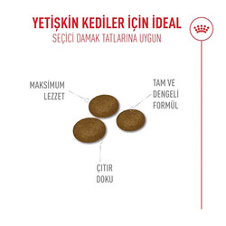 Royal Canin Fussy Exigent Seçici Kediler İçin Yetişkin Kedi Maması 10 Kg - Thumbnail