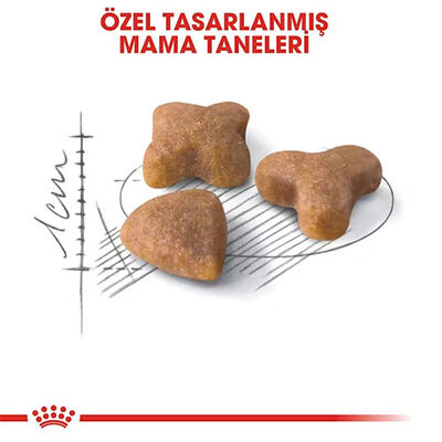 Royal Canin Sensible 33 Hassas Sindirim Sistemi Destekleyici Yetişkin Kedi Maması 10 Kg 