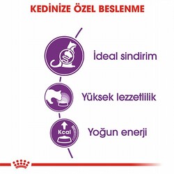 Royal Canin Sensible 33 Hassas Sindirim Sistemi Destekleyici Yetişkin Kedi Maması 4 Kg - Thumbnail