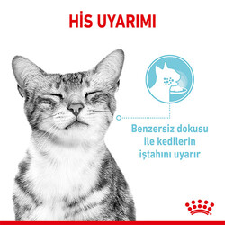 Royal Canin Sensory Feel in Gravy Adult Yetişkin Kedi Konservesi 85 Gr - Thumbnail