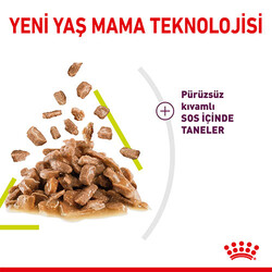Royal Canin Sensory Smell Gravy Adult Yetişkin Kedi Konservesi 85 Gr - Thumbnail